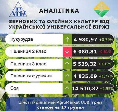 Ціни на кукурудзу продовжують зростати - INFBusiness