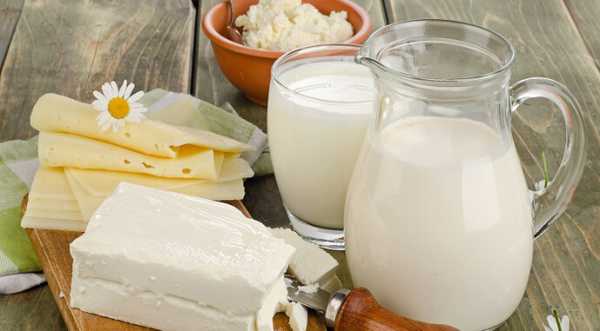 Дозволи на експорт молочки до ЄС мають 55 українських переробників - INFBusiness