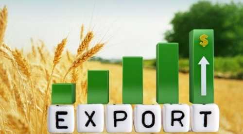 Агроекспорт у листопаді перевищив 5 млн тонн - INFBusiness