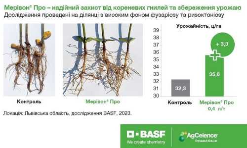 На ринок вийшов новий протруйник на сою від BASF - INFBusiness