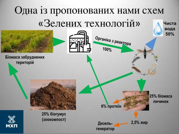 Покривні культури, біопрепарати та компости. Як врятувати деградовані ґрунти? - INFBusiness