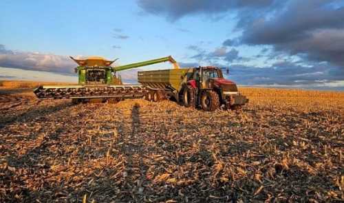 Тернопільщина минулого року зайняла 4 місце в Україні за валовим збором зерна - INFBusiness