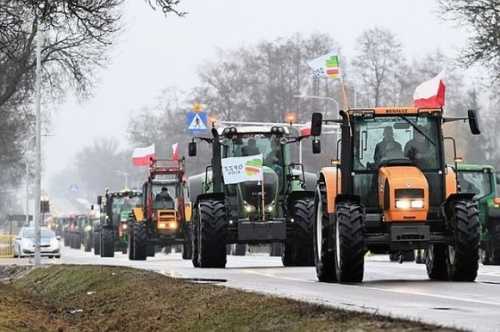 Польські фермери оголосили про страйк у Варшаві - INFBusiness