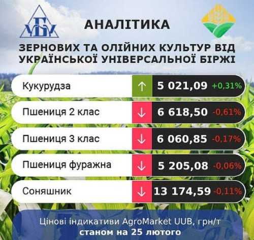 Великі товарні запаси пшениці в ЄС стримують зростання цін - INFBusiness