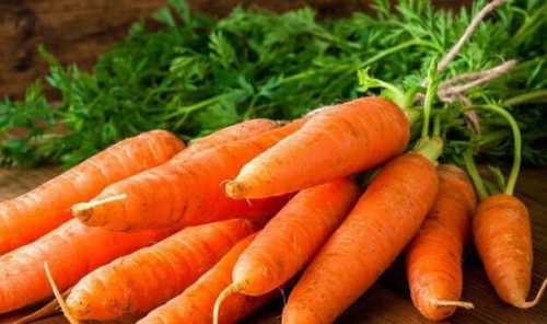 Виробники активно розпродають моркву - INFBusiness