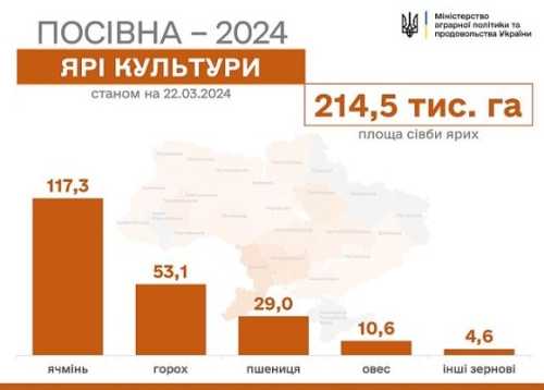 Посівна-2024: зерновими та зернобобовими засіяли понад 210 тис. га - INFBusiness