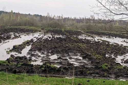 Волинь знову підтопило: у двох районах не можуть розпочати польові роботи - INFBusiness