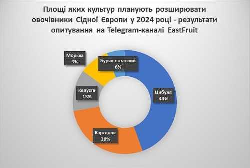 Які овочі планують вирощувати фермери – результати опитування - INFBusiness