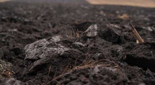 Українські вчені розробили рішення для відновлення ґрунтів з використанням донних відкладень - INFBusiness