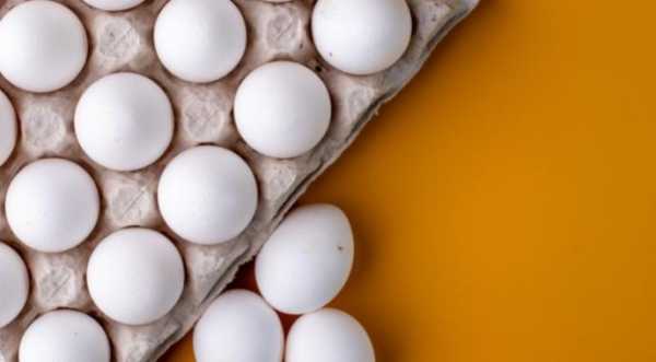 Експорт яєць зріс на 40% - INFBusiness