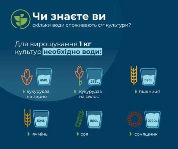 Всесвітній день водних ресурсів: рішення для оптимізації використання води у рослинництві - INFBusiness