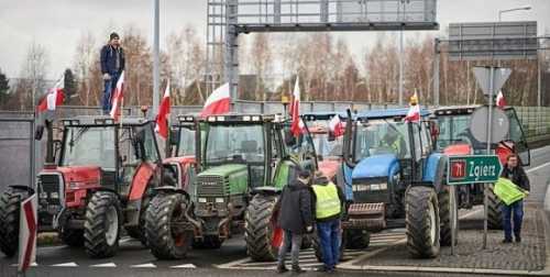На становище польських фермерів українське зерно не впливає, – дослідження - INFBusiness