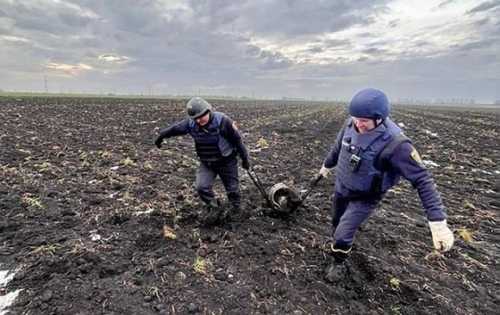 У лютому сапери обстежили понад 32 тисячі гектарів сільгоспземель - INFBusiness