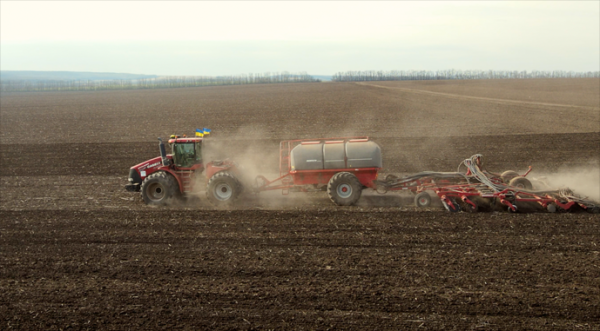 Занедбаних полів в Україні не буде попри зниження рентабельності агрокультур - INFBusiness
