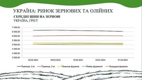 В AgroMarket UUB опублікували аналітичний звіт ринку зернових та олійних за лютий 2024 року - INFBusiness