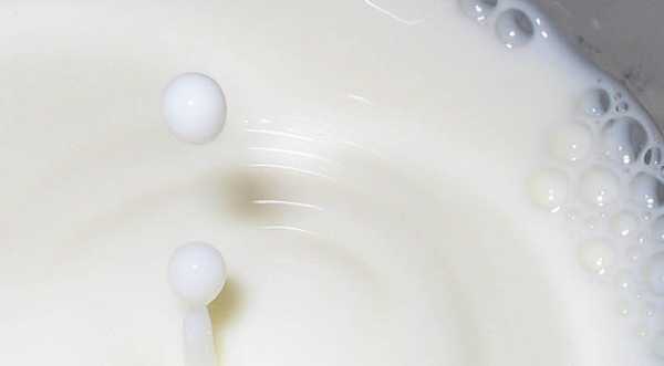 Молоко дешевшає через зниження попиту з початком Великого посту - INFBusiness