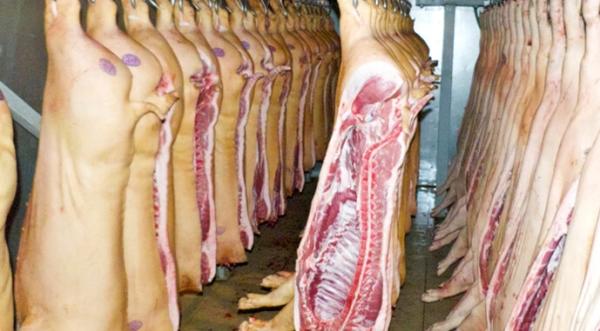 Закупівельні ціни на свинину в березні додали 2,5% - INFBusiness