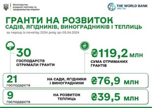 єРобота: з початку року виплачено 120 млн грн - INFBusiness