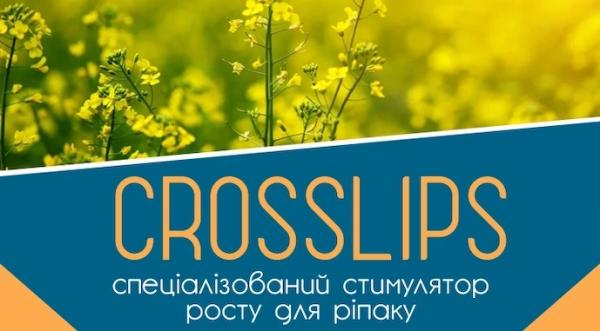 Більша врожайність, краща якість. Аграріям представили спеціалізований стимулятор росту для ріпаку - INFBusiness