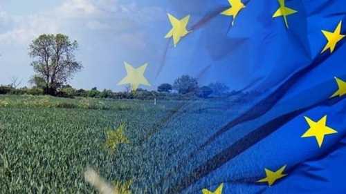 Інтеграція агросектору України в ринок ЄС потребуватиме реформи сільськогосподарської політики, – підсумки семінару - INFBusiness