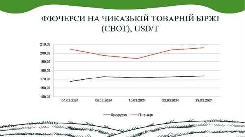 В AgroMarket UUB опублікували аналітичний звіт ринку зернових та олійних за березень - INFBusiness