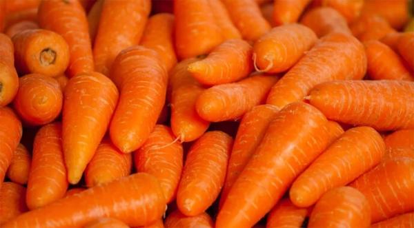 Дефіцит якісної моркви в Україні призвів до зростання цін - INFBusiness