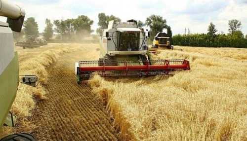 УЗА зменшила прогноз врожаю зернових та олійних у 2024 році - INFBusiness