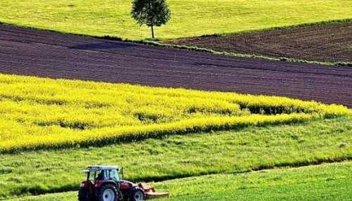 В ДАР закінчили приймати заявки на субсидії на 1 га сільгоспугідь для аграріїв з деокупованих територій - INFBusiness