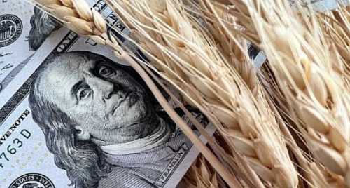 Аграрії виступили проти запровадження 14% ПДВ на експорт агропродукції - INFBusiness