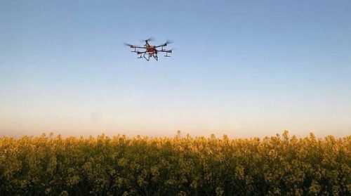 На полях компанії Агротрейд засоби захисту рослин вносять дронами - INFBusiness