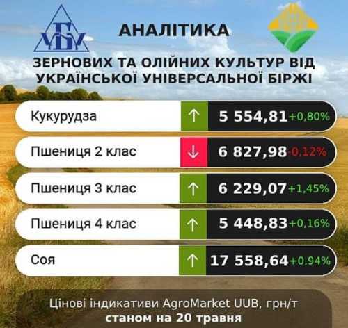 Минулого тижня ціни на зернові та олійні продовжили зростати, – аналітики - INFBusiness