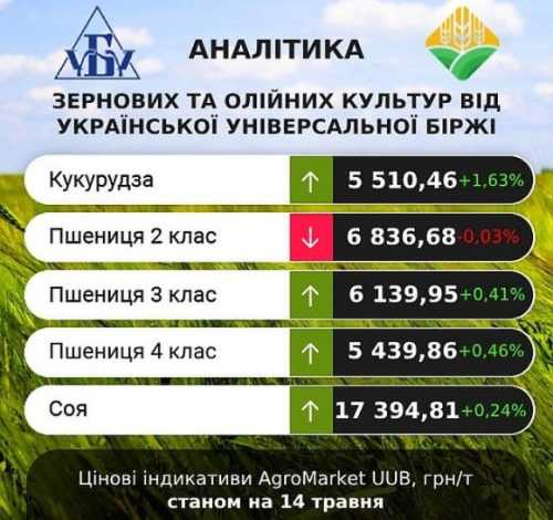 Погодні умови на росії та в Чорноморському регіоні сприяли спекулятивному росту цін на зернові - INFBusiness