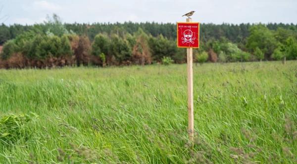 Кабмін запустив процедуру компенсації за розмінування сільгоспземель - INFBusiness