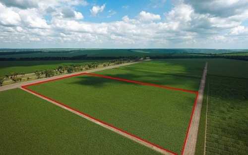 З липня 2023 року на ринку земель сільськогосподарського призначення спостерігається стійка тенденція до зростання кількості угод купівлі-продажу. Про це йшлося під час публічної дискусії «Ринок земель: нові гравці, нові виклики, нові перспективи», організованої Київською школою економіки спільно з Програмою USAID АГРО. Найбільший попит на ринку землі мають колишні «підмораторні» землі - INFBusiness