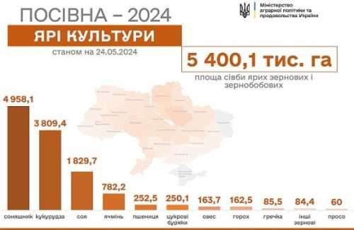 Весняна посівна закінчується: залишилось засіяти менше 4% площ - INFBusiness