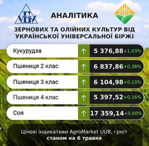 Ціни на зернові та олійні минулого тижня переважно зростали, – аналітики - INFBusiness