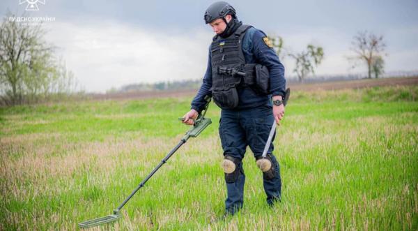 Компенсація за розміновані землі: які документи мають подати аграрії - INFBusiness