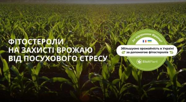 Elicit Plant розширила програму підтримки фермерів - INFBusiness