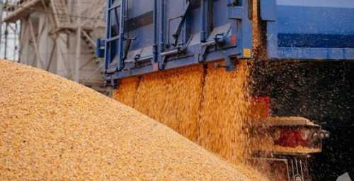 Експорт агропродукції у червні суттєво знизився - INFBusiness