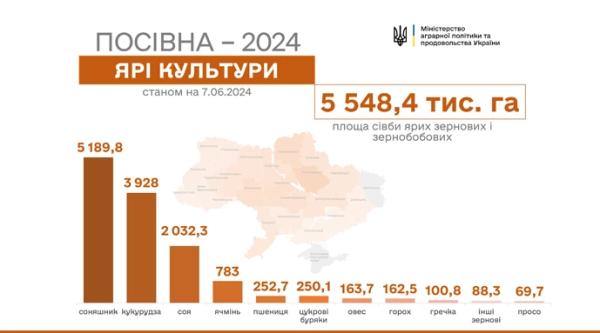 Весняна посівна кампанія в Україні завершена - INFBusiness