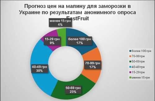 Прогноз цін на малину – опитування - INFBusiness