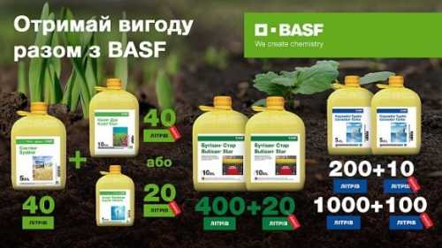 Компанія BASF оголосила про старт осінньої промо кампанії: що пропонують аграріям - INFBusiness