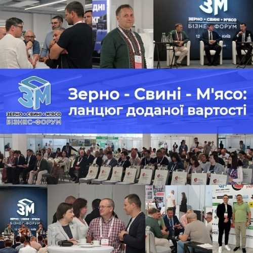 Зерно - Свині - М'ясо: ланцюг доданої вартості - INFBusiness