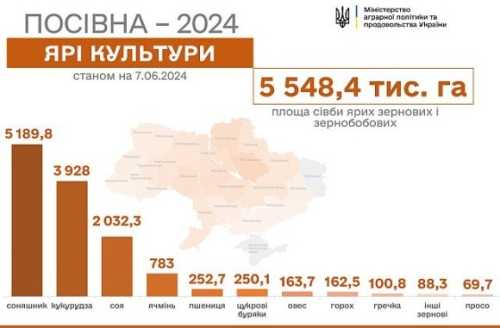 Весняну посівну завершено: засіяли майже 13 млн га - INFBusiness