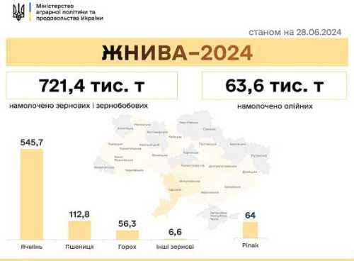 Жнива 2024: ранні зернові збирають у 16 областях - INFBusiness