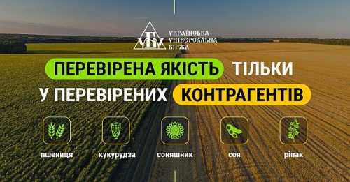 Минулого тижня ринок зернових та олійних залишався стабільним, – аналітики - INFBusiness