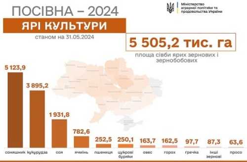 Вісім областей закінчили посівну - INFBusiness