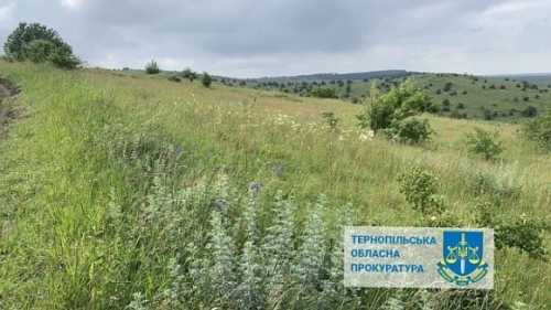 На Тернопільщині суд повернув заказнику землі, які незаконно використовували для сільського господарства - INFBusiness