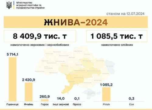 Жнива 2024: зібрали 9,5 млн тонн зернових та олійних - INFBusiness