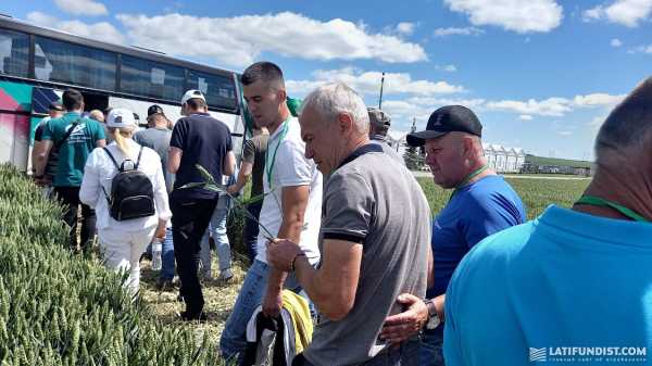 Насінництво, 200 тис. свиней, більше 12 тис. голів ВРХ і мрія про мільйон одночасного утримання птиці — «Агропродсервіс» ділиться досвідом - INFBusiness